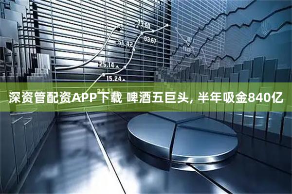 深资管配资APP下载 啤酒五巨头, 半年吸金840亿