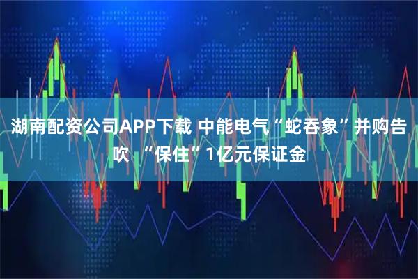 湖南配资公司APP下载 中能电气“蛇吞象”并购告吹  “保住”1亿元保证金