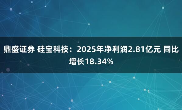 鼎盛证券 硅宝科技：2025年净利润2.81亿元 同比增长18.34%