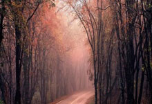 股票加杠杆公司:股票练习app-宇树上市定档四季度 人形机器人赛道迎资本“冲刺期”